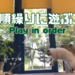 バーマン猫ガブとラフとウリ【順繰りに遊ぶ】Play in order（バーマン猫）Birman/Cat