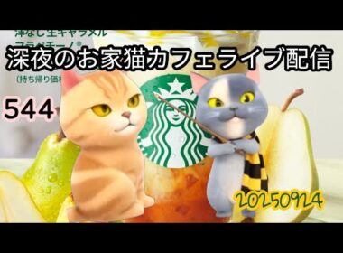 深夜のお家猫カフェライブ配信 ５４４