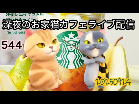 深夜のお家猫カフェライブ配信 ５４４