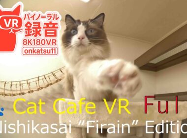 🐾 [8K VR180 & Binaural Audio | Cat Cafe VR — Nishikasai “Firain” Edition]Final Chapter‼