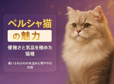 世界中で愛されている猫「ペルシャ」についてご紹介