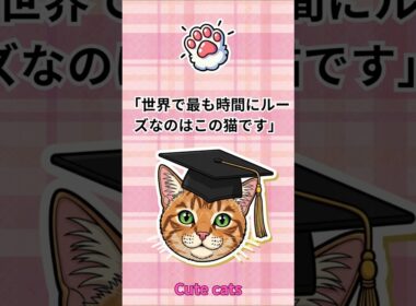 ペルシャ猫は世界で最も時間にルーズな猫