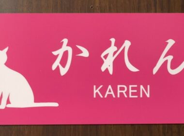 子猫たち快気祝いオッさん晩酌🍻