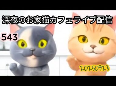 深夜のお家猫カフェライブ配信 ５４３