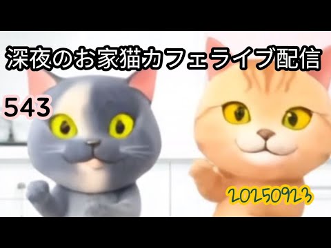 深夜のお家猫カフェライブ配信 ５４３