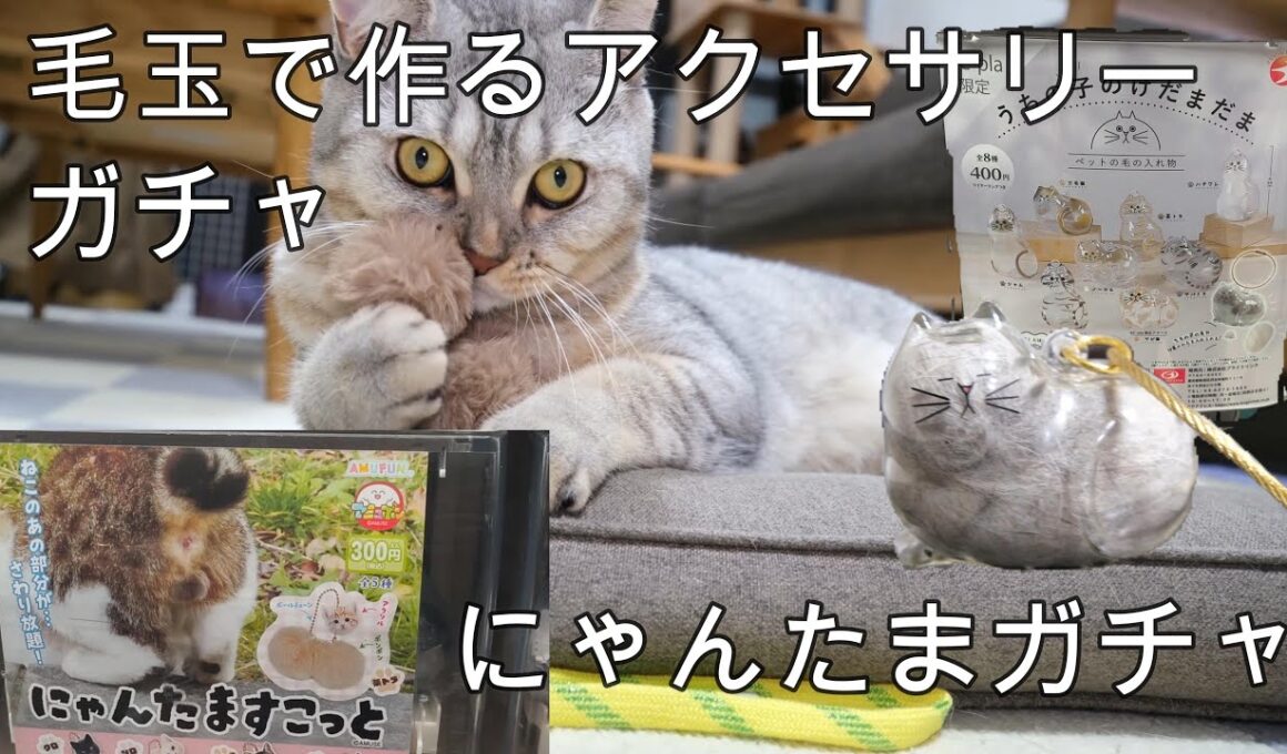 ねこの毛玉のアクセサリーが作れるガチャガチャやってみました。おまけでにゃんたまも購入