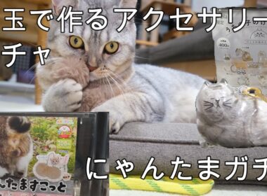 ねこの毛玉のアクセサリーが作れるガチャガチャやってみました。おまけでにゃんたまも購入