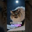 古代から生きてる猫5選🙀🪦アビシニアン•エジプシャンマウ•コラット•ターキッシュアンゴラ•サイベリアン