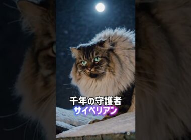古代から生きてる猫5選🙀🪦アビシニアン•エジプシャンマウ•コラット•ターキッシュアンゴラ•サイベリアン