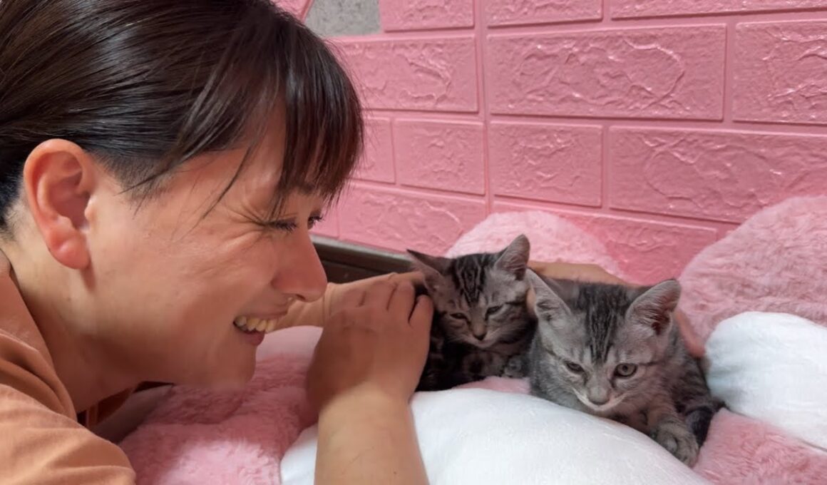 高熱を出した子猫の看病で疲れきった母ちゃんの笑顔
