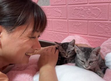 高熱を出した子猫の看病で疲れきった母ちゃんの笑顔