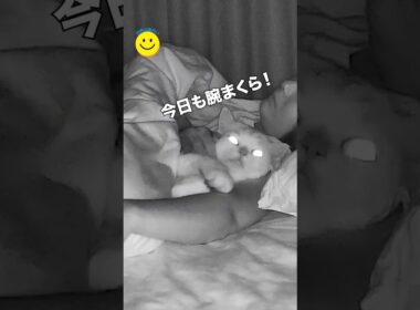 猫が毎晩見せるかわいい習慣🐾💤