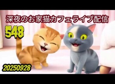 深夜のお家猫カフェライブ配信 ５４８