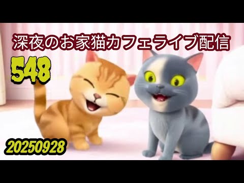 深夜のお家猫カフェライブ配信 ５４８