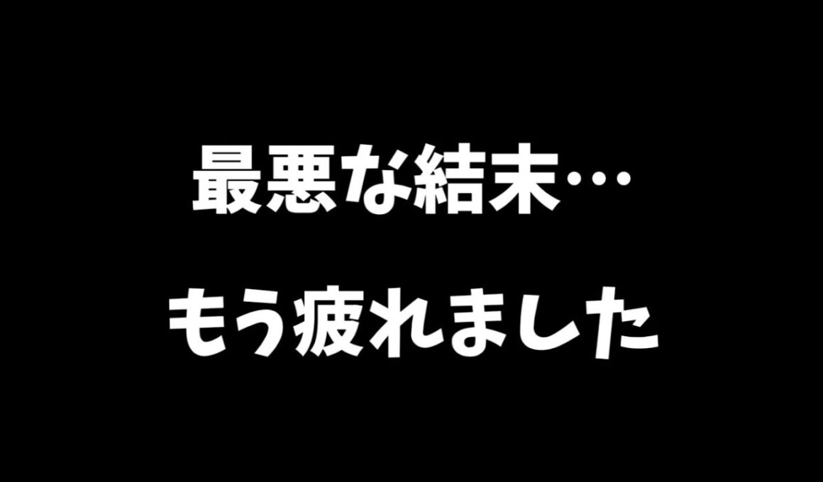 子猫が可哀想…最悪の日になりました