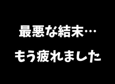 子猫が可哀想…最悪の日になりました