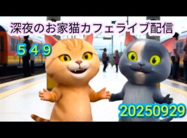 深夜のお家猫カフェライブ配信 ５４９