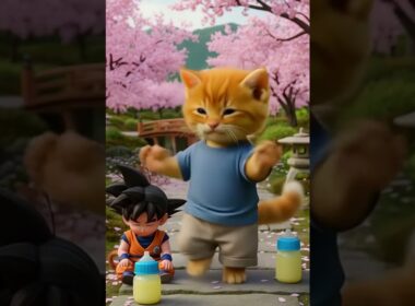 かわいい猫のダンス  😻 | Cute Cat dance with son goku | 孫悟空とかわいい猫のダンス