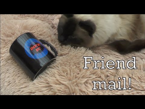 ハリーラグドールとの友達メール！