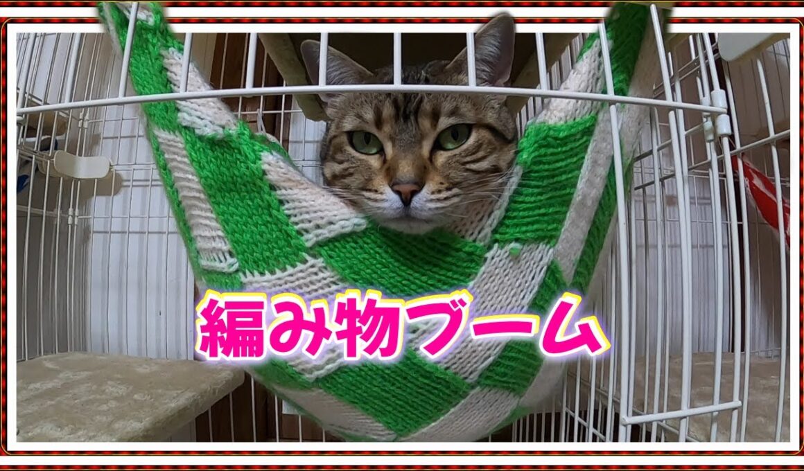 【冬支度への衣替え】編み物ブームにあやかってニャンズにハンモックを愛情込めて編んでましたが親の心子知らず？ ベンガル/オシキャット/チートー猫【Cat lifeスローライフ田舎暮らしvol 33】