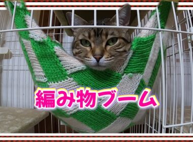 【冬支度への衣替え】編み物ブームにあやかってニャンズにハンモックを愛情込めて編んでましたが親の心子知らず？ ベンガル/オシキャット/チートー猫【Cat lifeスローライフ田舎暮らしvol 33】