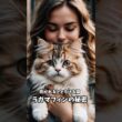 ラガマフィン                        ~ マジで蕩けちゃう猫 ~