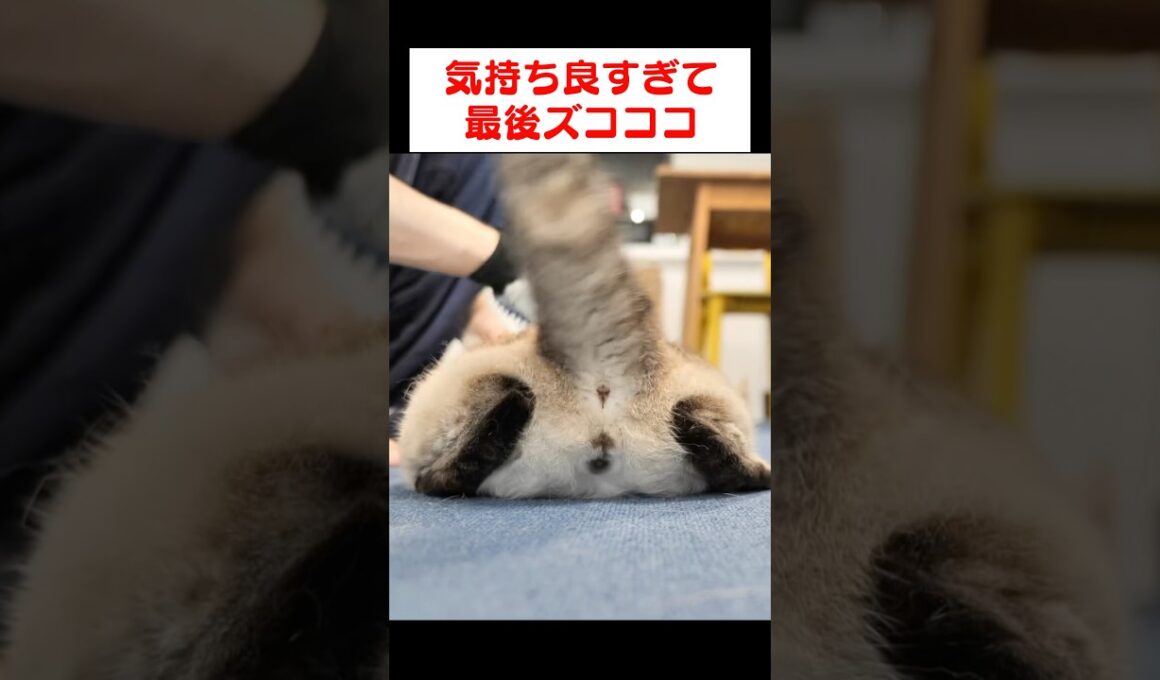 気持ち良すぎるとこうなるんだよな…