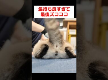 気持ち良すぎるとこうなるんだよな…