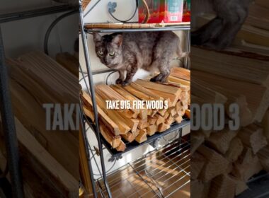 #火付け用木材 #薪ストーブ の季節が近づいて来た #薪好き猫 #egyptianmaucat #エジプシャンマウ #エジプシャンマウスモーク #エジプシャンマウの仲間たち #shorts
