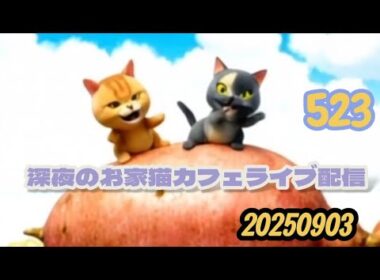 深夜のお家猫カフェライブ配信 ５２３
