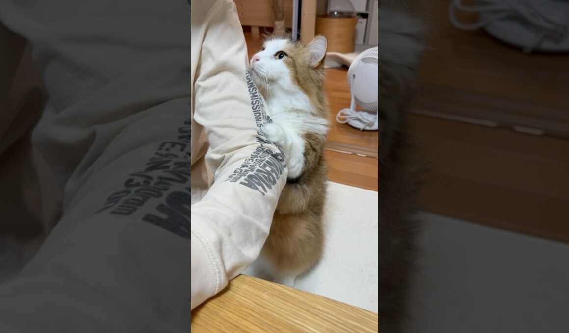 なぁなぁ見て〜立ってんねん