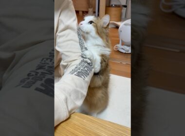 なぁなぁ見て〜立ってんねん