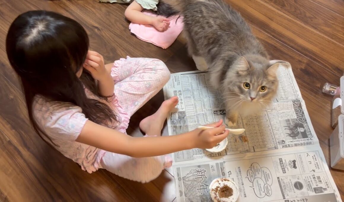 クワガタの幼虫の引っ越し作業が気になる猫　サイベリアン