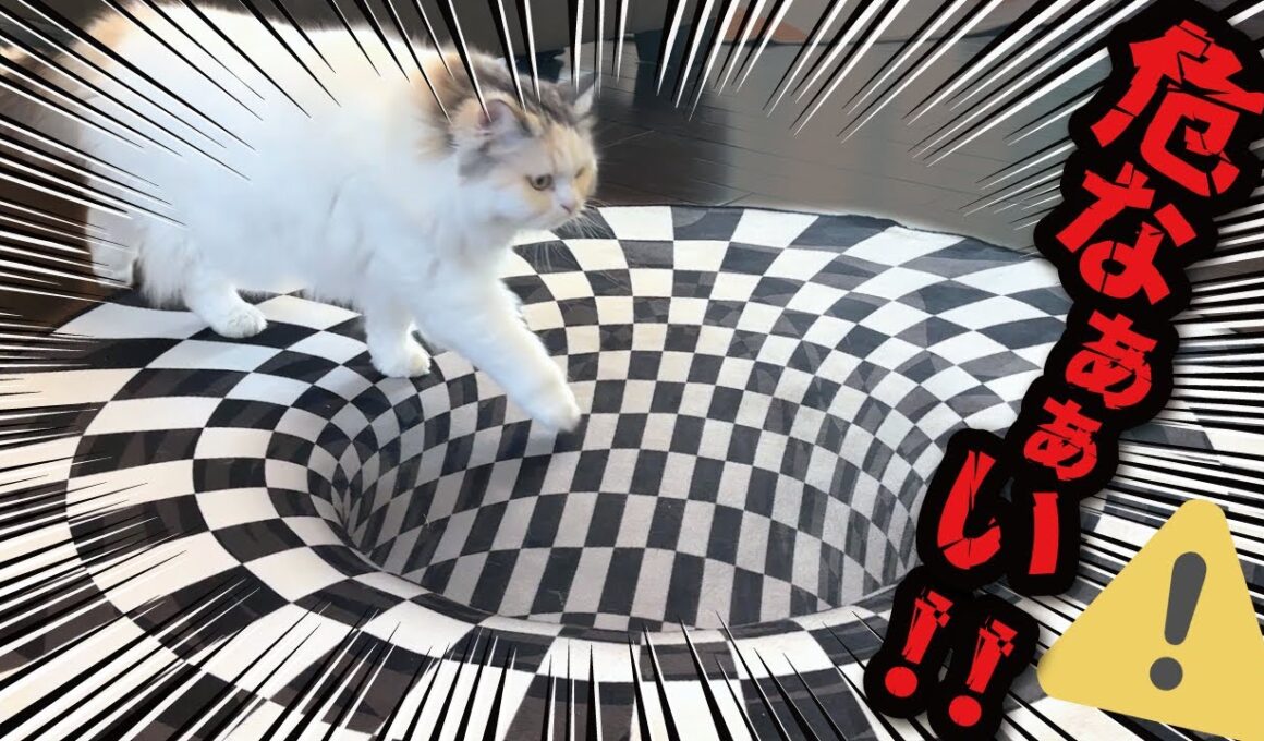 家の中に落とし穴がぁぁぁぁぁぁあああああ！！！！【関西弁でしゃべる猫】【猫アテレコ】