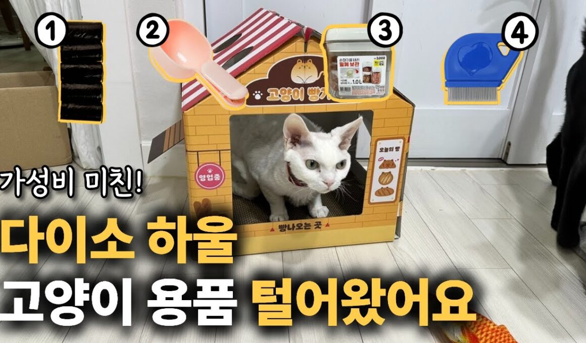 이거안보고 사면 돈낭비! 다이소에서 발견했다면 꼭 사세요!