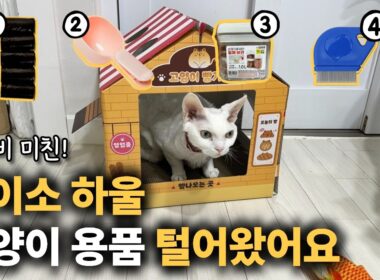 이거안보고 사면 돈낭비! 다이소에서 발견했다면 꼭 사세요!