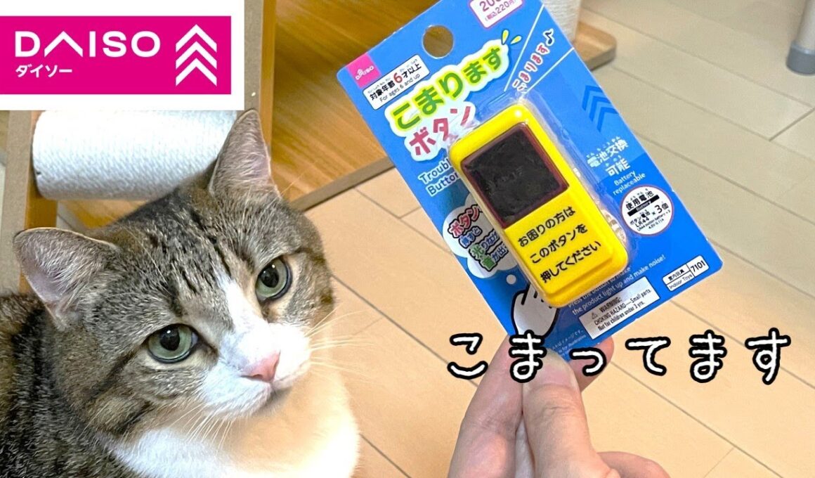 ダイソーの「こまりますボタン」買ってみた
