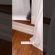怖いよー #アメリカンカール #ねこ動画 #cat