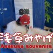 バーマン猫ガブとラフ【浅草みやげ】Asakusa souvenirs（バーマン猫）Birman/Cat