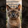バーミーズ