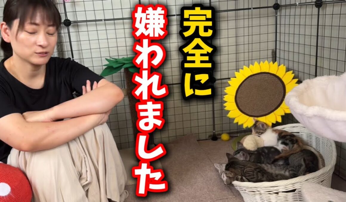 子猫たちから完全に嫌われた蠍座の女