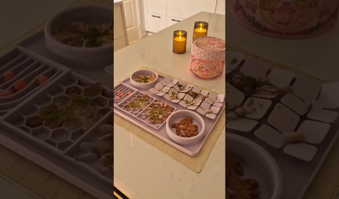 Oldie but a goodie ;) Enrichment mat for my ragdoll cat! ASMR 🎧 #cat #asmr #asmrsounds #catfeeding