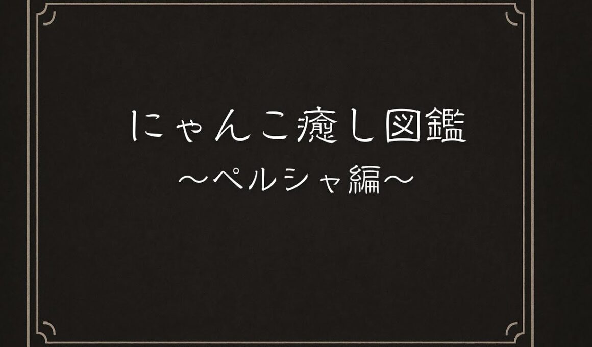 にゃんこ癒し図鑑　〜ペルシャ編〜