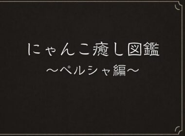 にゃんこ癒し図鑑　〜ペルシャ編〜