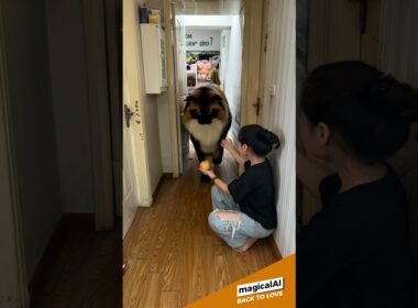 Summon a giant Egyptian Mau cat #cat #cats #catvideos #catlovers  #catshorts #aicat #cutecat