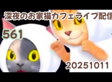 深夜のお家猫カフェライブ配信 ５６１