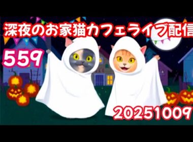 深夜のお家猫カフェライブ配信 ５５９