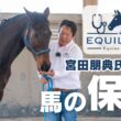 マロちゃん＆ホースクリニシャン宮田朋典氏夢のコラボ！/「EQUILENGE」レポPart.4