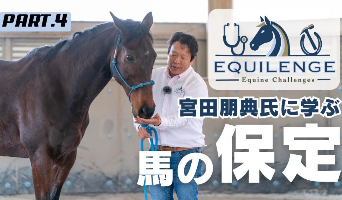マロちゃん＆ホースクリニシャン宮田朋典氏夢のコラボ！/「EQUILENGE」レポPart.4