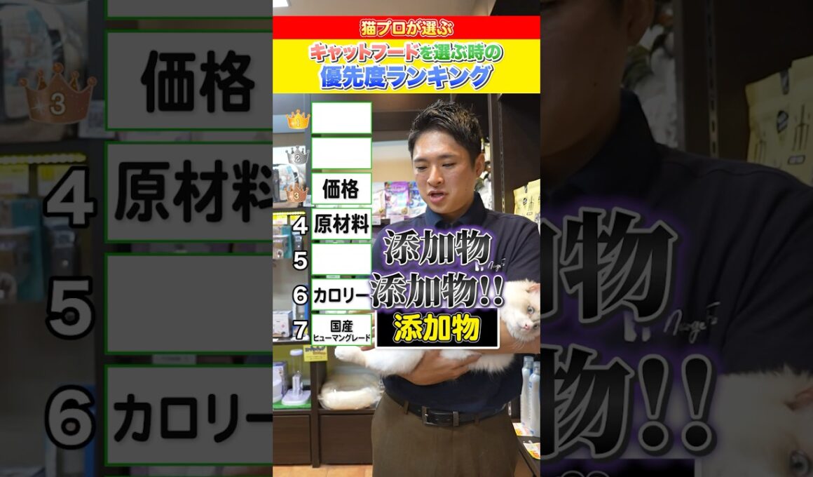 【プロが選ぶ！】キャットフードを選ぶときの優先度ランキング！ ＃子猫 #成猫